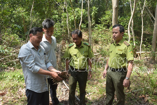 Kiên Giang vào mùa "canh lửa giữ rừng"